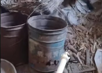 R2101004 Rescata al zorro (Parte 2)