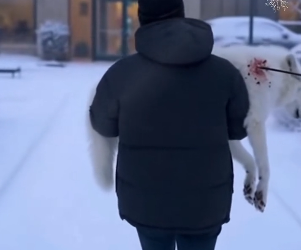 P2101001 Every life deserves a second chance (Part 2)