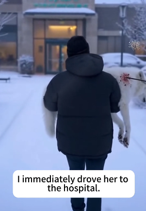 P2101001 Every life deserves a second chance (Part 2)