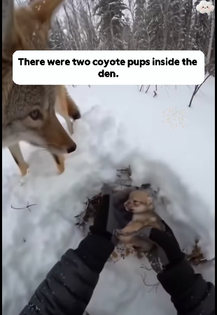 P2101002 From fear to safety in one moment (Part 2)