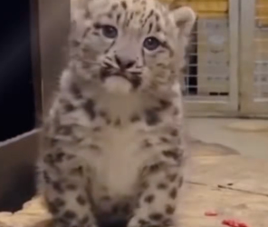 P2101003 Kindness can save a life (Part 2)