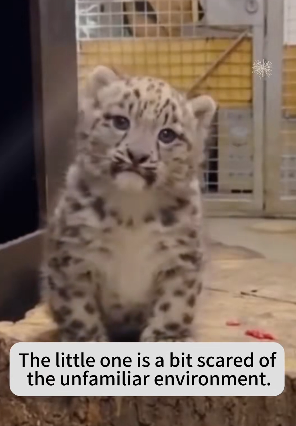 P2101003 Kindness can save a life (Part 2)