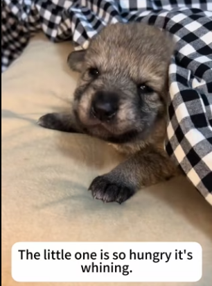 P2101004 Love arrived just in time (Part 2)