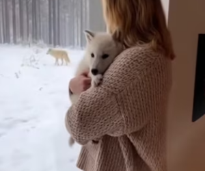 P2101005 A small rescue, a big miracle (Part 2)