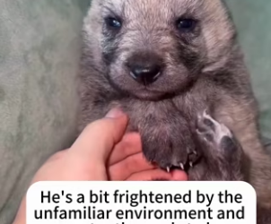 P2101006 Hope begins with compassion (Part 2)