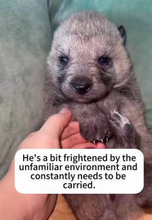 P2101006 Hope begins with compassion (Part 2)