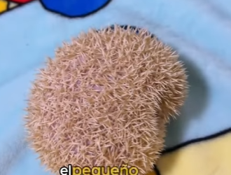 L2101005 Un pequeno rescate, un gran milagro (Parte 2)