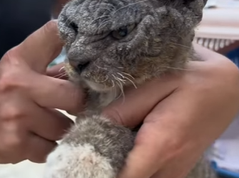 L2101004 El amor llego justo a tiempo (Parte 2)