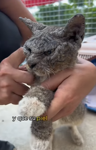 L2101004 El amor llego justo a tiempo (Parte 2)