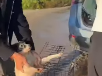 L2101006 La esperanza nace con compasion (Parte 2)