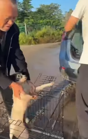 L2101006 La esperanza nace con compasion (Parte 2)