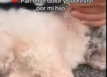 M2001005 Donde hay compasion, hay esperanza (Parte 2)