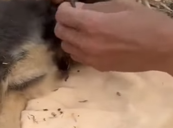 M2001002 La bondad puede cambiar destinos (Parte 2)