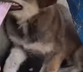 M2001006 Hoy la bondad gano una batalla (Parte 2)