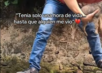 M2001003 El amor llega justo a tiempo (Parte 2)