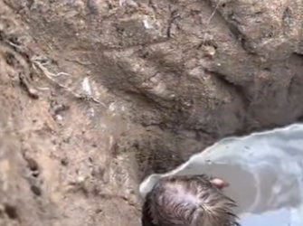 M2001007 De miedo a seguridad en segundos (Parte 2)