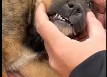 M2101002 Hoy la bondad hizo la diferencia (Parte 2)