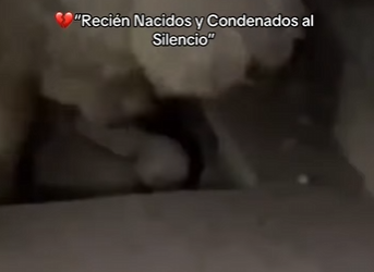 M2101006 Cuando llega la ayuda, llega la esperanza (Parte 2)