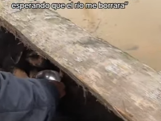 M2101003 Rescatar es amar en accion (Parte 2)