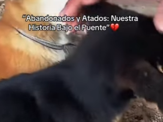 M2101007 Corazones amables salvan vidas (Parte 2)