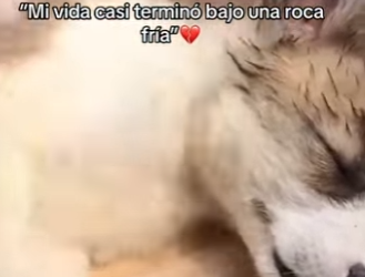 M2101001 Porque cada latido importa (Parte 2)