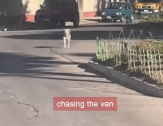 W2101002 From shadows into safety (Part 2)