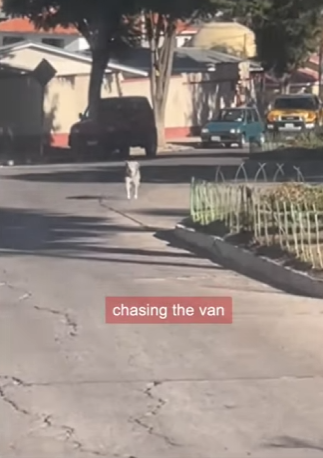 W2101002 From shadows into safety (Part 2)