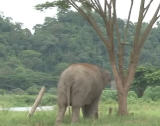 W2101001 Love never gives up (Part 2)