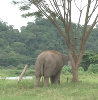 W2101001 Love never gives up (Part 2)