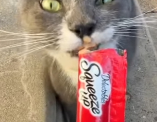 W2101003 Because no life should be forgotten