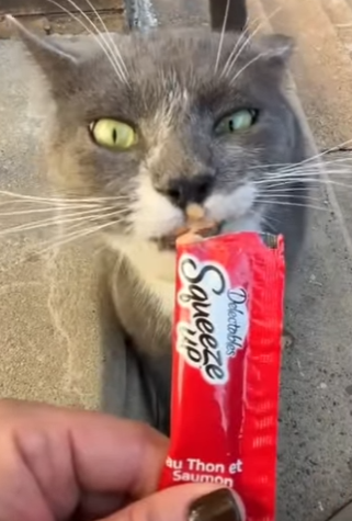 W2101003 Because no life should be forgotten