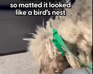 W2101004 A second chance begins here