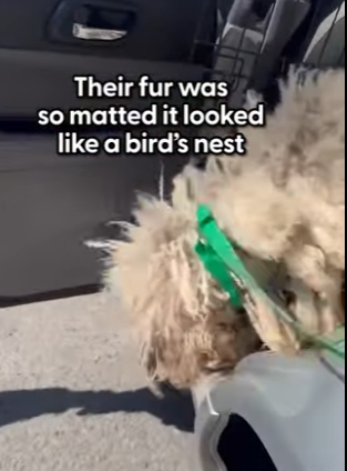 W2101004 A second chance begins here