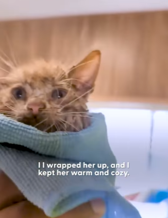 W2101005 Compassion turns fear into trust (Part 2)