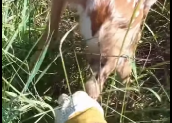 I1901007 Hope begins with a caring heart (Part 2)