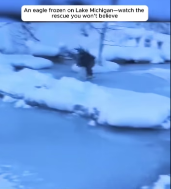 I1901010 When compassion steps in, lives change (Part 2)