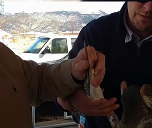 I1901011 One brave act can save a soul (Part 2)