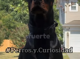 Y2101005 Dos titanes (Parte 2)