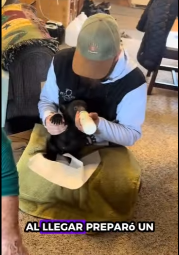 A2201003 Rescatando osos pardos (Parte 2)