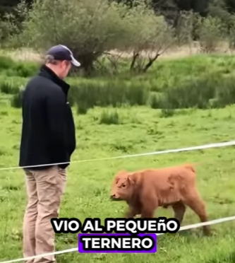 A2201004 Rescatar a la vaca (Parte 2)