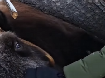 P2201005 Love writes better endings (Part 2)