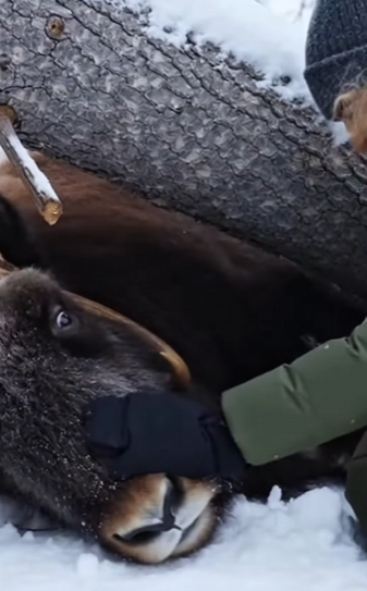 P2201005 Love writes better endings (Part 2)