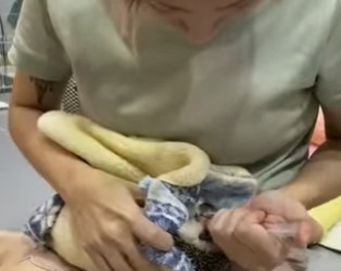 A0501001 Rescatando al erizo (Parte 2)