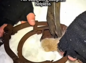 P2201004 Compassion saves quietly (Part 2)