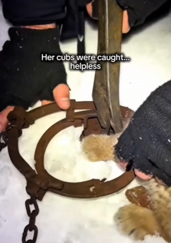 P2201004 Compassion saves quietly (Part 2)