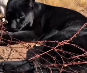 P2201001 Where help arrives, hope follows (Part 2)