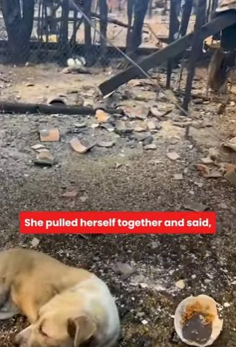 W2201007 Where compassion leads, life follows (Part 2)