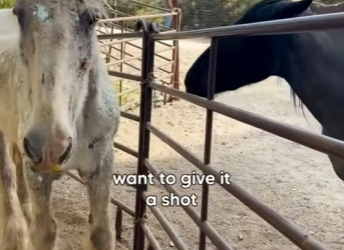 W2201004 Love turns pain into peace (Part 2)