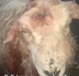 W2201003 One moment of mercy changed everything (Part 2)