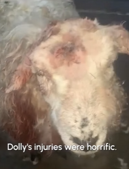 W2201003 One moment of mercy changed everything (Part 2)